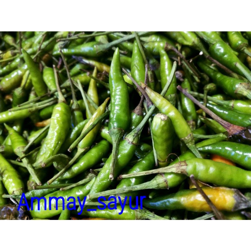

cabai rawit ijo 500g/rawit ijo fres/Ammay_sayur