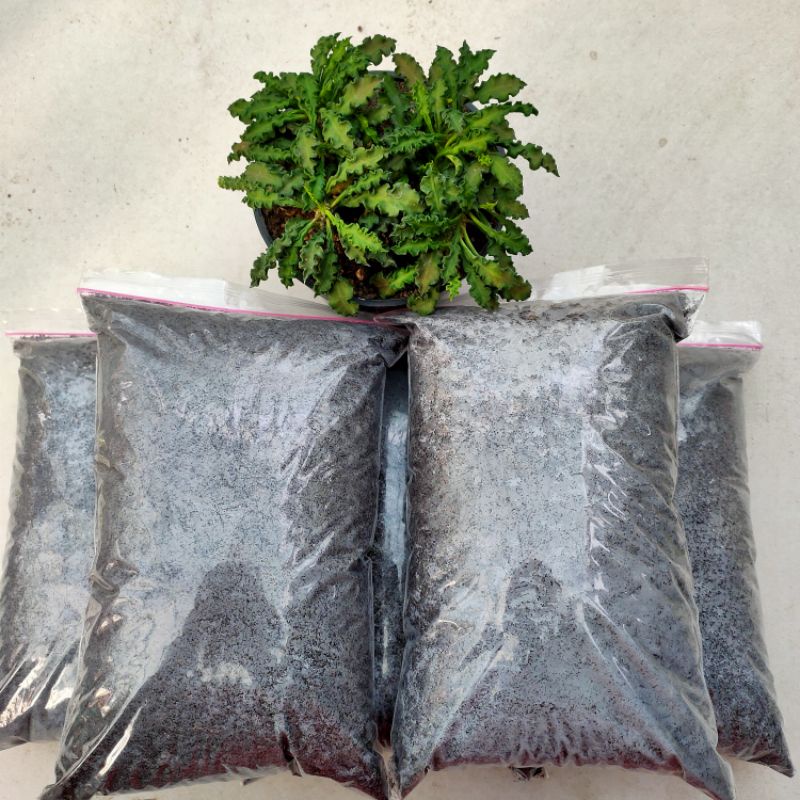 Pupuk Kompos Daun Teh Organik Fermentasi Halus Steril Siap Pakai Untuk Penyubur Tanah Tanaman Hias B