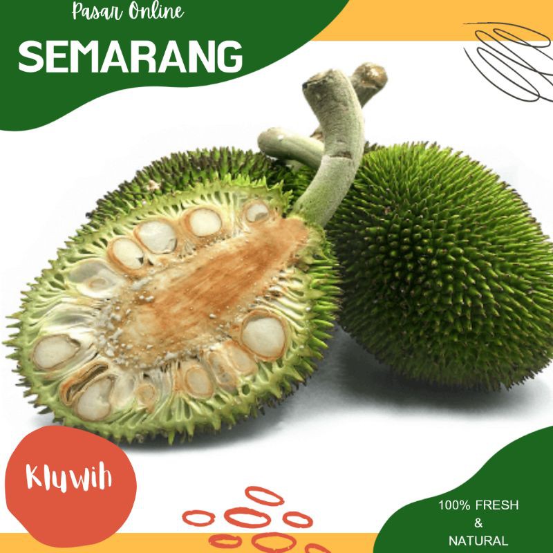 Jual Sayur Sayuran Segar Kluwih Kluweh Fresh Masak Sayur Belanja