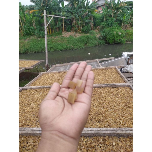 

kerupuk/dorokdok/rambak/jangek/krecek kulit sapi mentah super 5kg