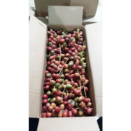 

kurma muda mix barhie & red jordan