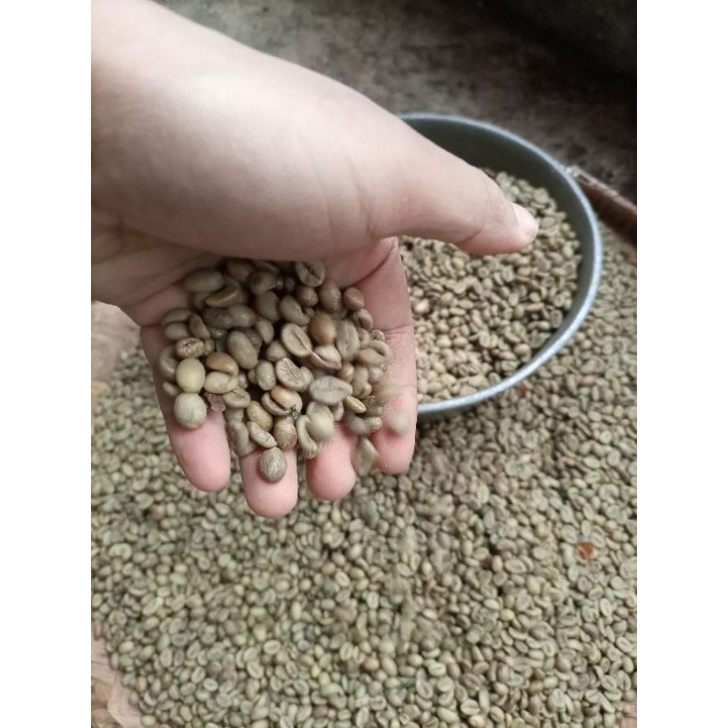 

Kopi Biji Robusta Temanggung Green Bean Robusta Kopi Mentah Siap Sangrai Bahan Baku Kopi Bubuk