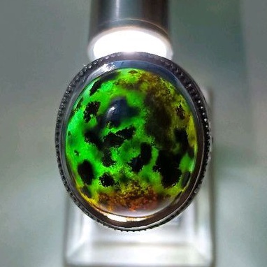 natural bacan coklat dim20
