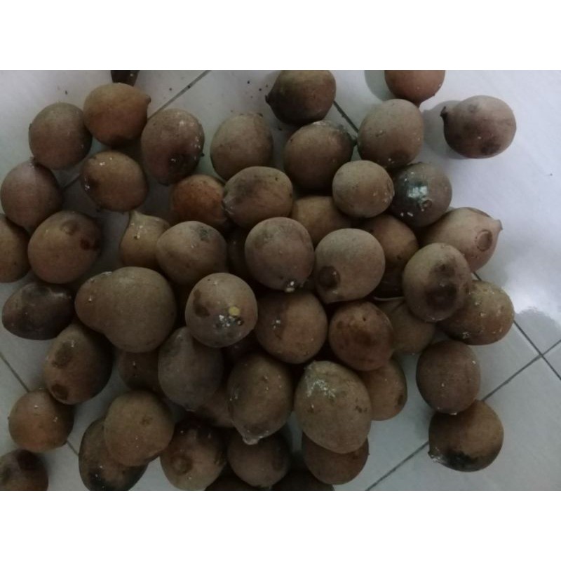 Buah Kepel Burahol  5kg petikan segar