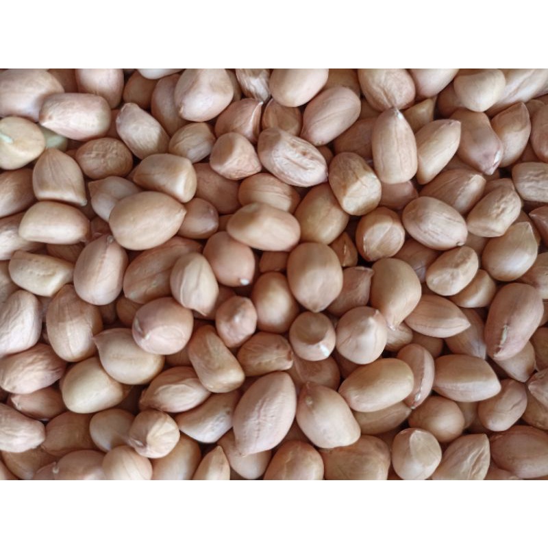 

1 bungkus kacang tanah andara super kualitas bagus 1 kg biji bijian