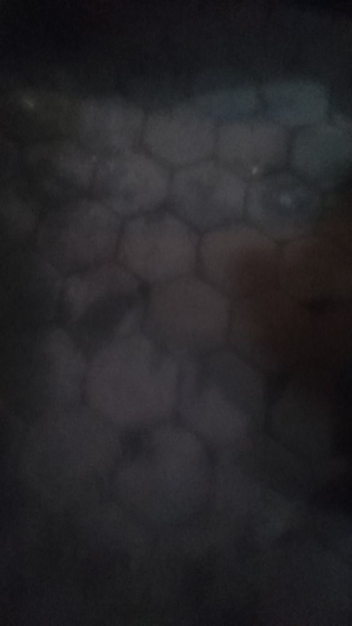 Mika Dm Thinwall Round 300ml(25 Pcs)