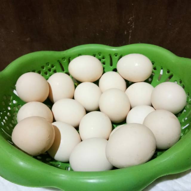 Jual Telur Ayam Kampung Murah  Shopee Indonesia