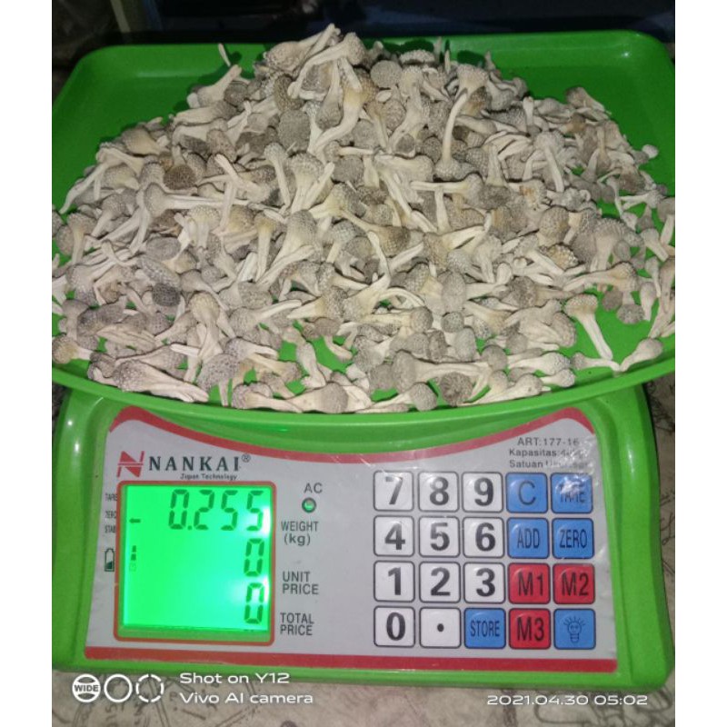 

Empot Putih 250 gr