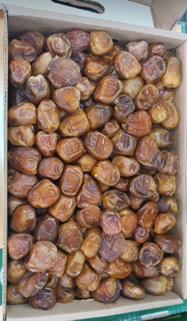 

KURMA BASAH SUKARI SAUDI AL QOSIM