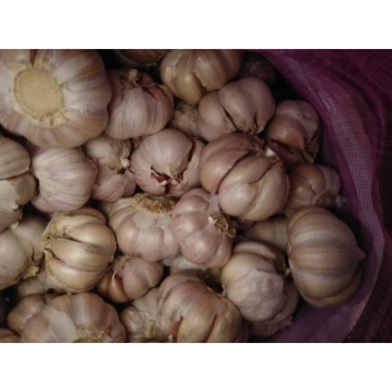 

bawang putih 1 kg