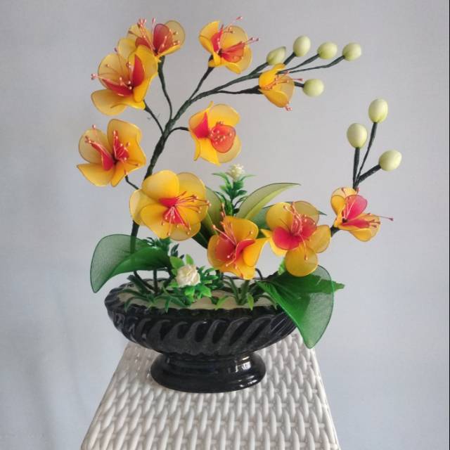 Bunga anggrek Stoking