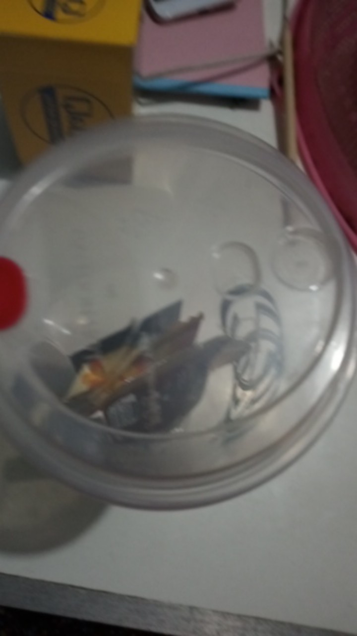 Reusable Cup Nct 2020 700ml / Merchandise Nct 2020 / Botol Minum