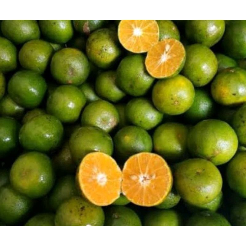 

Buah Segar Mix 1 kg Nota Live