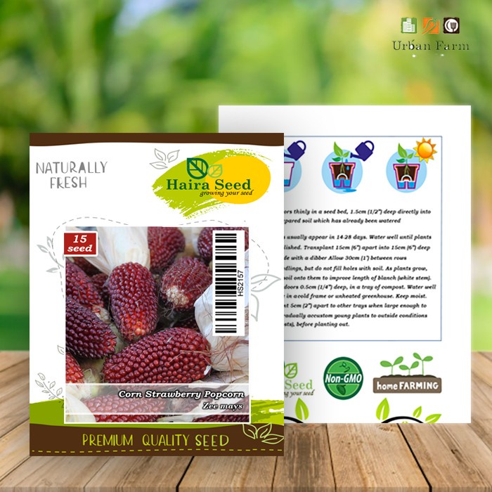 BENIH BIBIT JAGUNG STRAWBERRY POPCORN Haira Seed