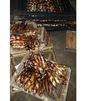 

Mega Sale Ikan Asap {{ ISI 4 }} Terbaru 3.3/GROSIR/(Terbaik)/DISKON BRANDS FESTIVAL/Terbaik