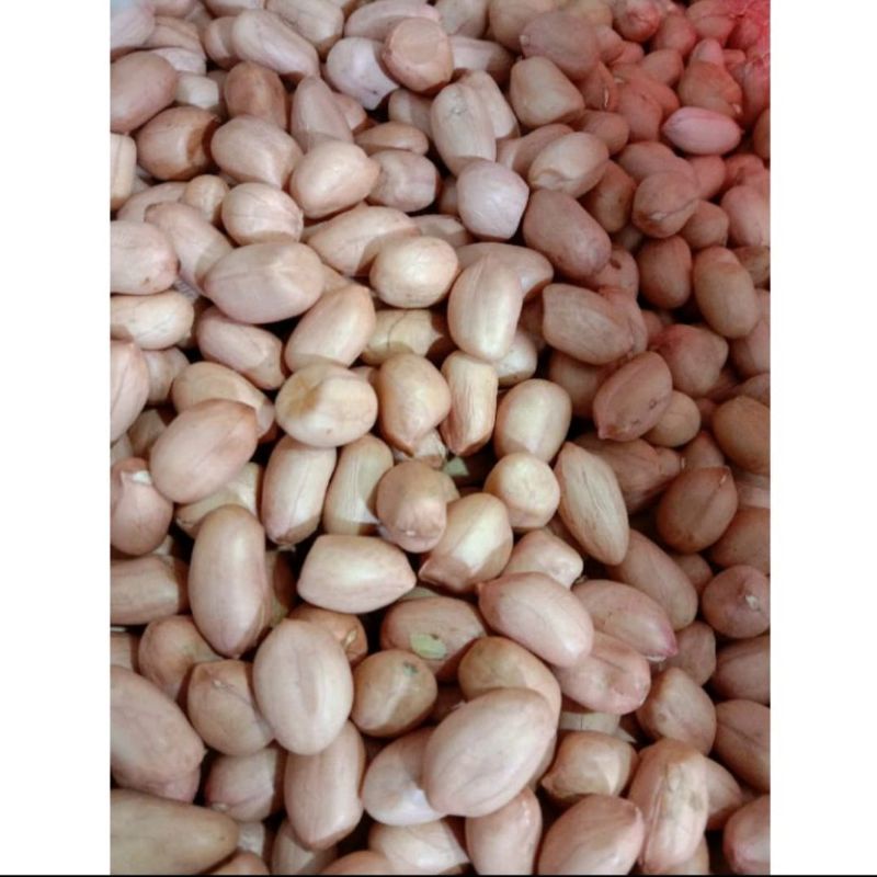 

Kacang Tanah Berat 250 Grm