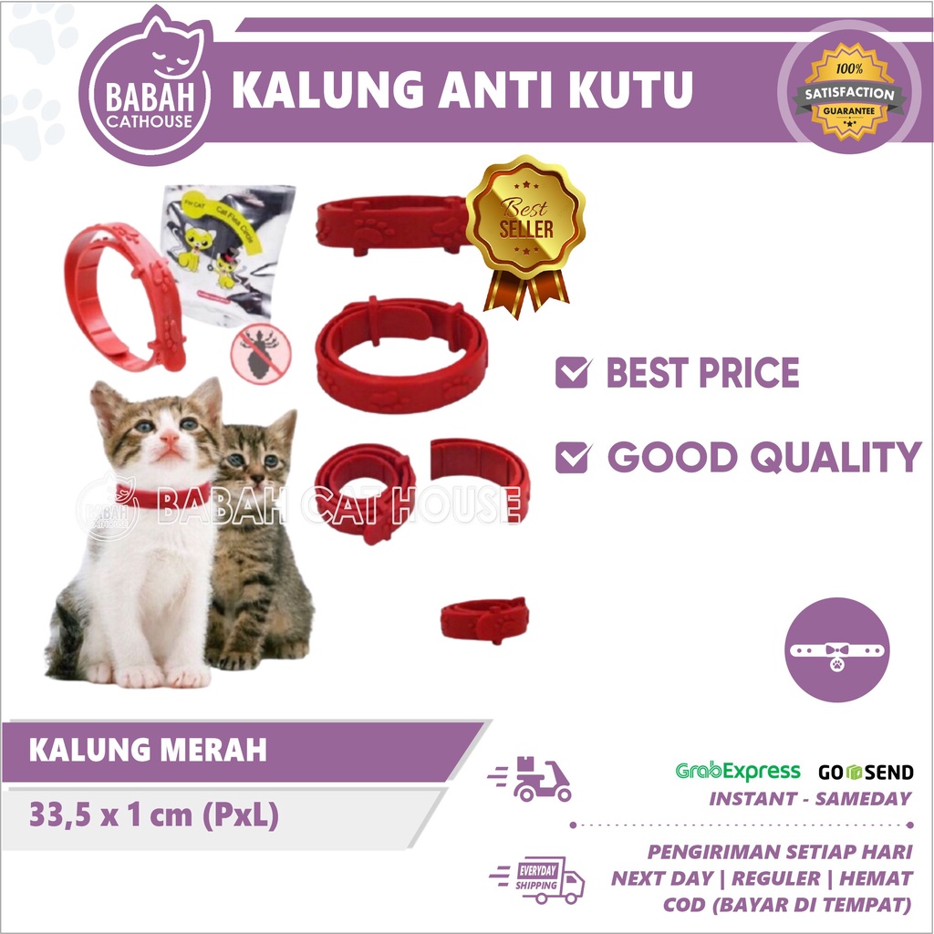 KALUNG MERAH ANTI KUTU Kucing Anjing Murah Lucu Untuk Kitten Aksesoris Bagus Keren Import Dan Nyamuk