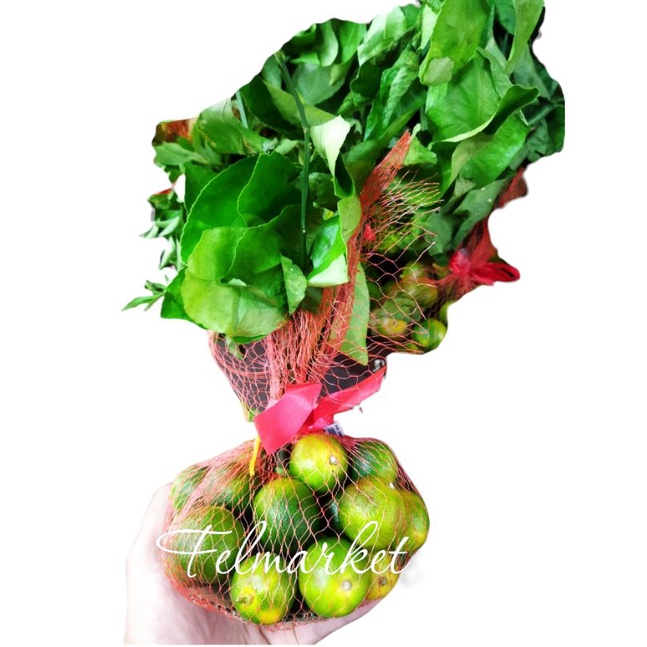 

jeruk songkit tangkai imlek | pcs