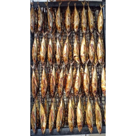 

Salem asap Rp 9000/ekor