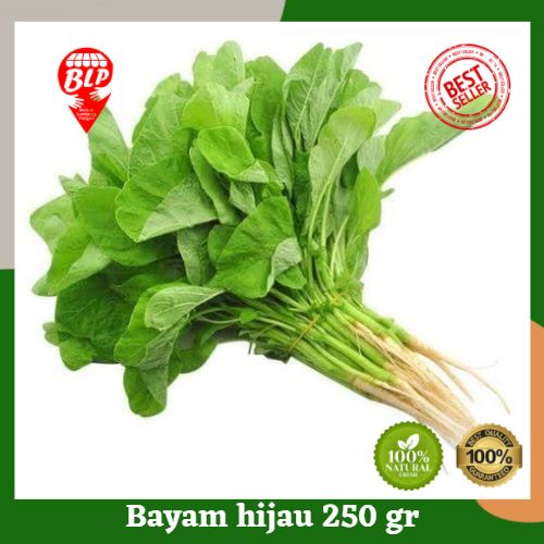 

Bayam Hijau 250 gr Berkah Lumbung pangan