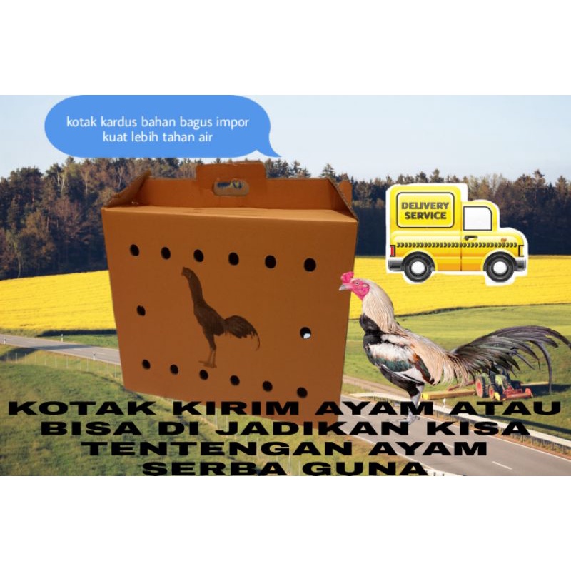 kisa kotak dus tebal kekar tas ayam kiso tentengan ayam impor