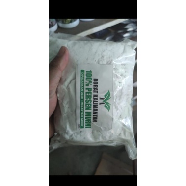 borat asli kalimantan