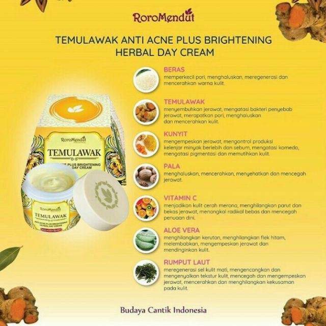 RORO MENDUT TEMULAWAK ANTI ACNE BRIGHTENING DAY CREAM