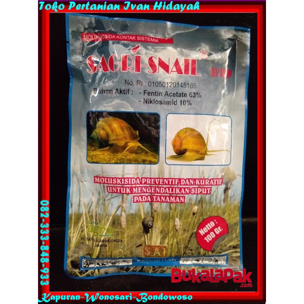 Jual Racun Siput Atau Keong Mas Sagri Snail Wp Shopee Indonesia