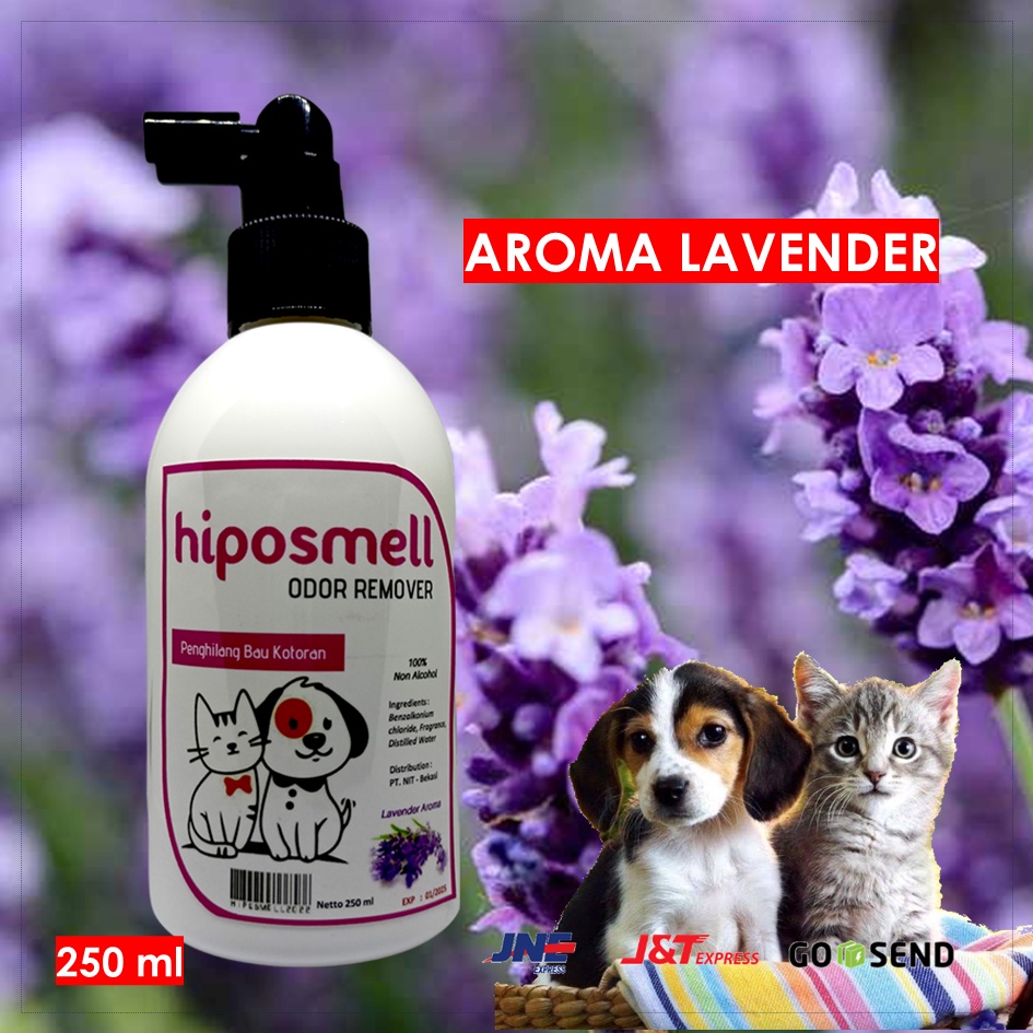 Penghilang Bau Kotoran Pipis Kucing Anjing ODOR REMOVER Parfum Plus Disinfectant Wangi dan Sehat