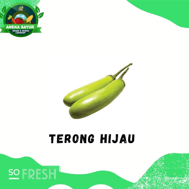 

Terong Hijau