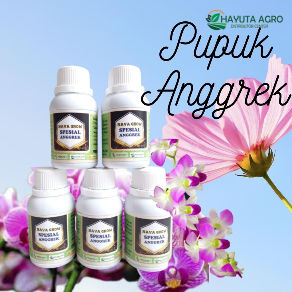 Pupuk Anggrek Cepat Berbunga, Pupuk Anggrek Bulan Terbaik Yang Bagus Supaya Cepat Berbunga