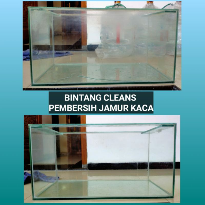 OBAT PEMBERSIH JAMUR KACA AQUARIUM / KACA MOBIL /KERAK KACA / BODY KENDARAAN /JAMUR KROM