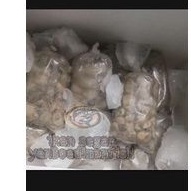 daging kerang tiram(oyster) kupas