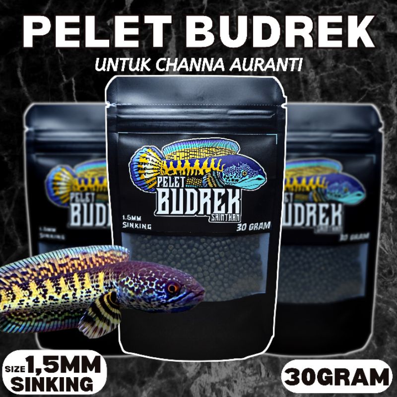 pelet budrek auranti untuk ikan channa aurantimaculata 30gram 1,5mm &amp; 5mm