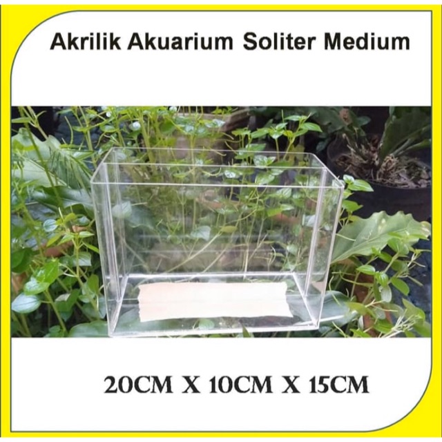 Akrilik Akuarium Soliter Medium