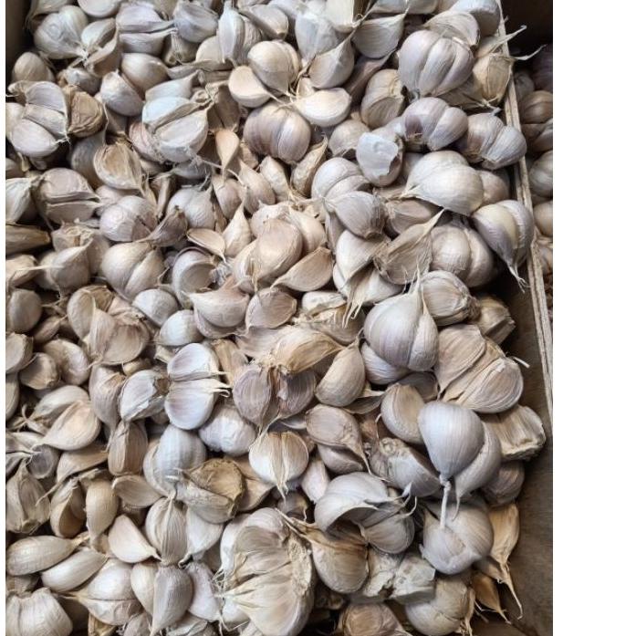 

향 bawang putih kating Bersih 1KG Kilo Import Grade A Special