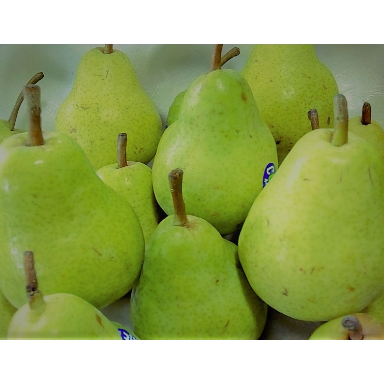 

PEAR HIJAU PACKHAM / PEAR JAMBU 1/2KG