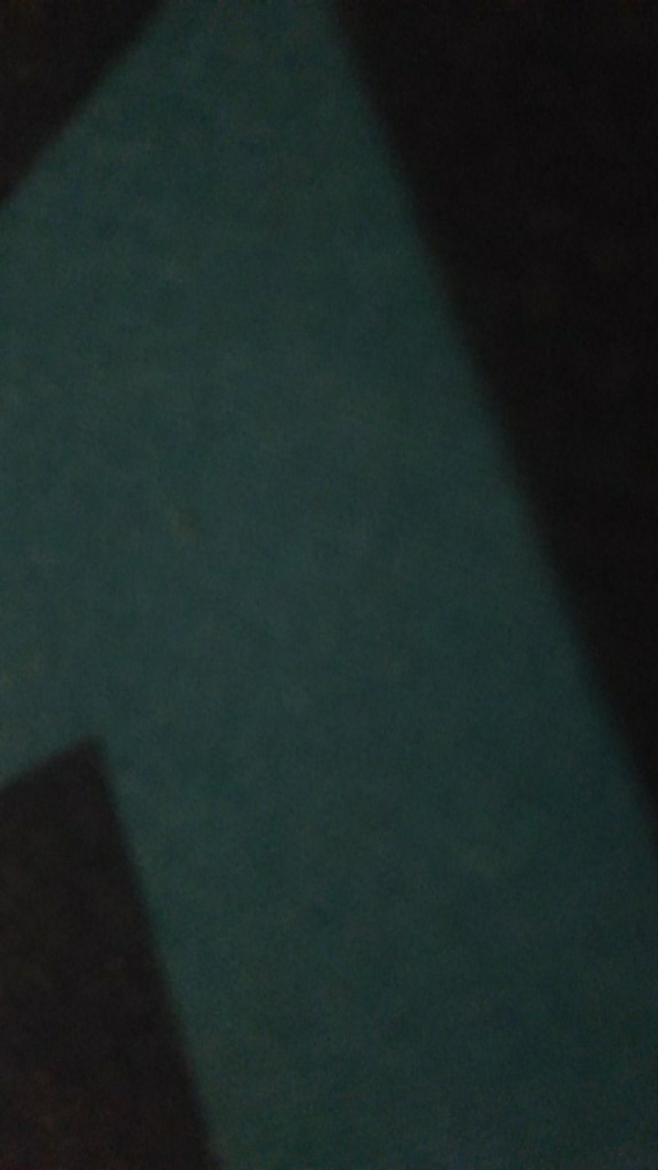 Sale! Pelepah Lidah Buaya Jumbo & Fresh 100% Organik (600-750gr)