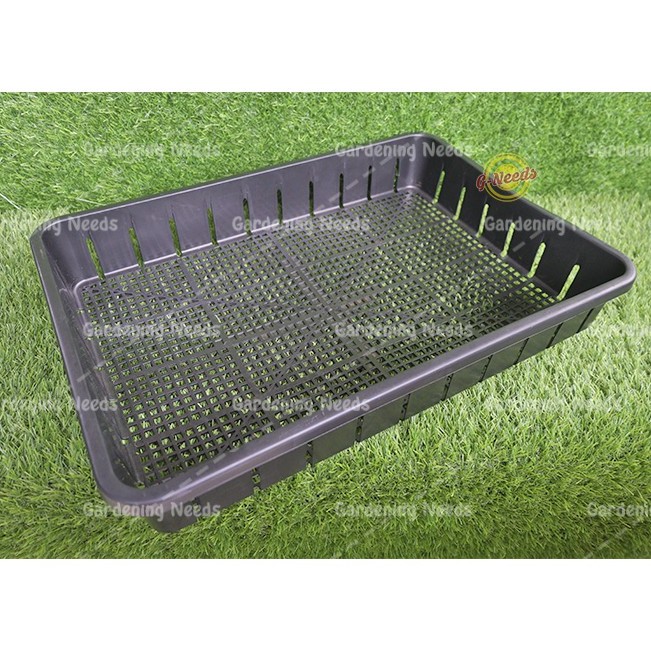 ALLS Pot Tray Semai Bibit Hidroponik 50cm - Tray Pot NKT 50cm