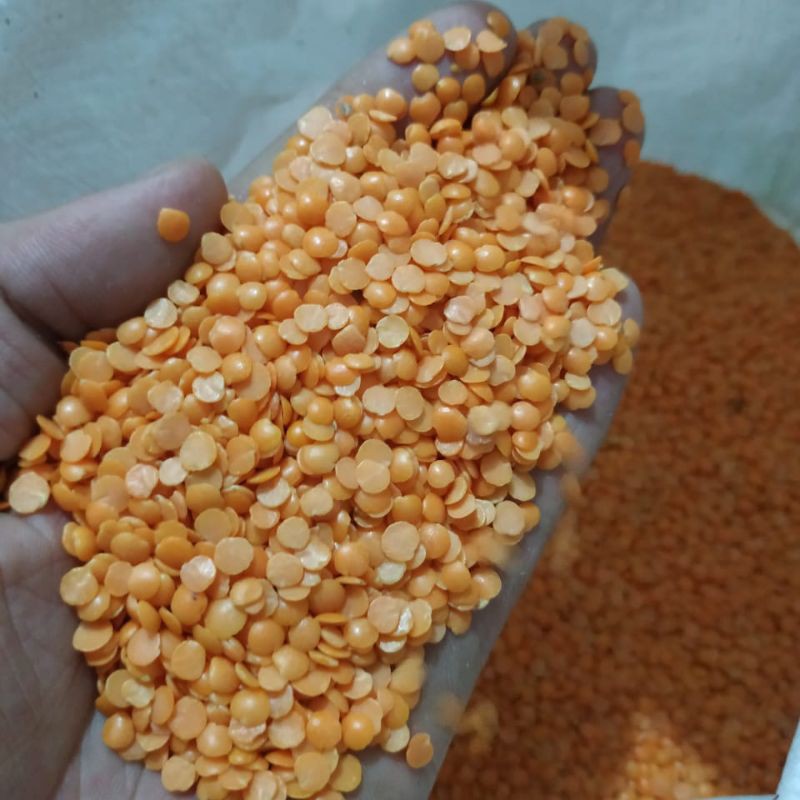 

RED LENTILS/ MASOOR DALL/ SPLIT LENTILS 1 KG