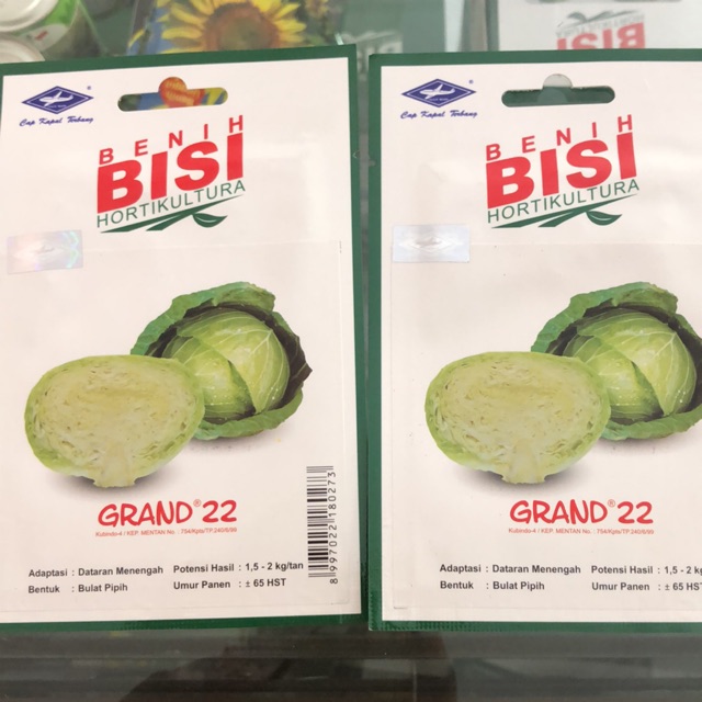 Benih Kubis Grand 22