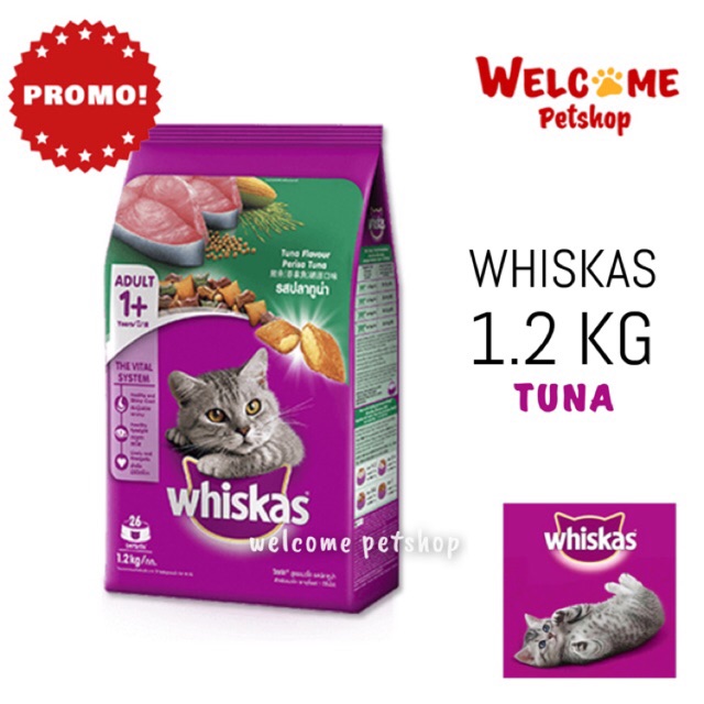 Harga whiskas 1 kg