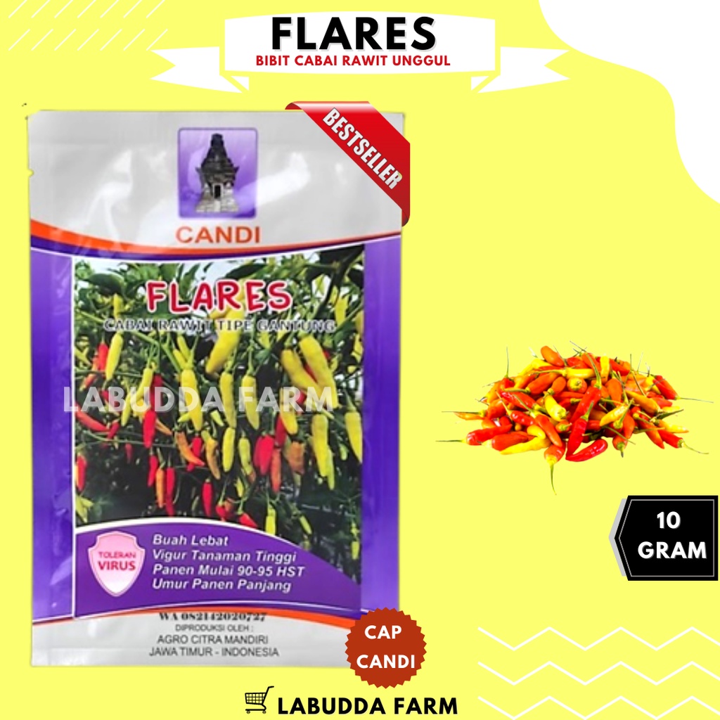 Bibit Cabe - Bibit Cabe Rawit Unggul - Bibit Cabe Rawit Merah - Biji Cabe Rawit - Benih Cabai Rawit 