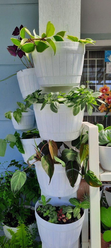 Pot Bunga Tanaman Motif Tawon Putih 24 Cm - Tawon Asli