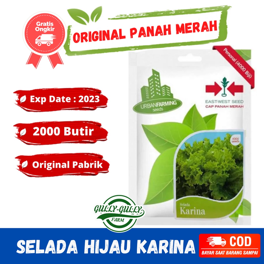 Benih Bibit Selada Hijau Karina - Cap Panah Merah