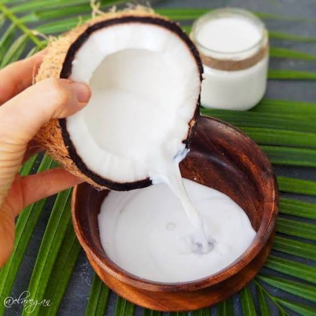 

Santan Segar Kelapa Tua / 1 butir