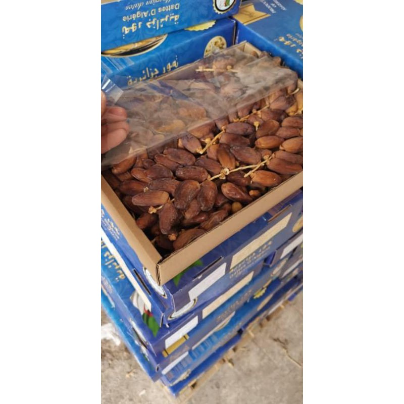 

kurma Tunisia tangkai