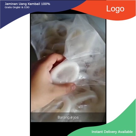 

ikan cumi flower / cumi cincin