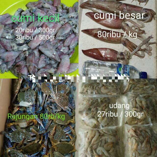 

Cumi basah kecil 500 gr