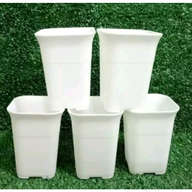 pot bunga kotak putih lusinan /pot bunga plastik tebal
